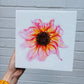 Dahlia Glow