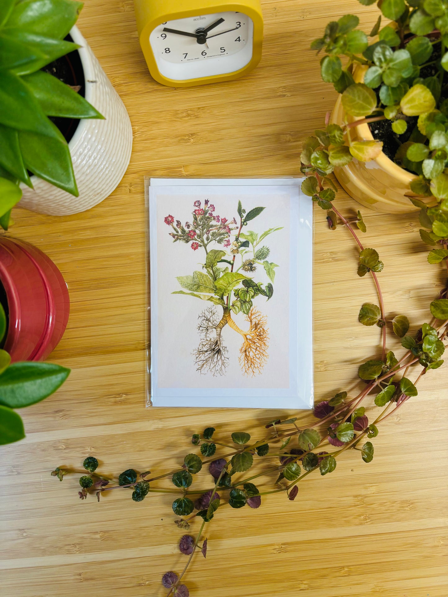 Greetings Card - The Medicinal Lungs