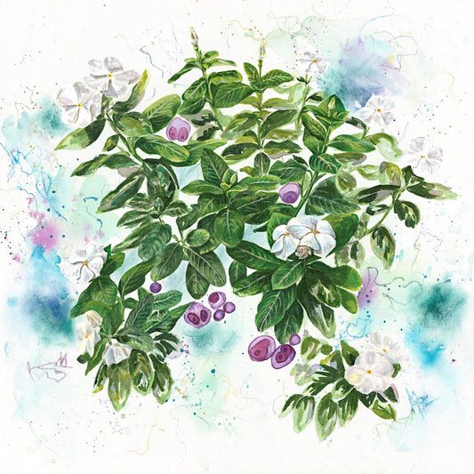 Hidden Promise Limited Edition Prints