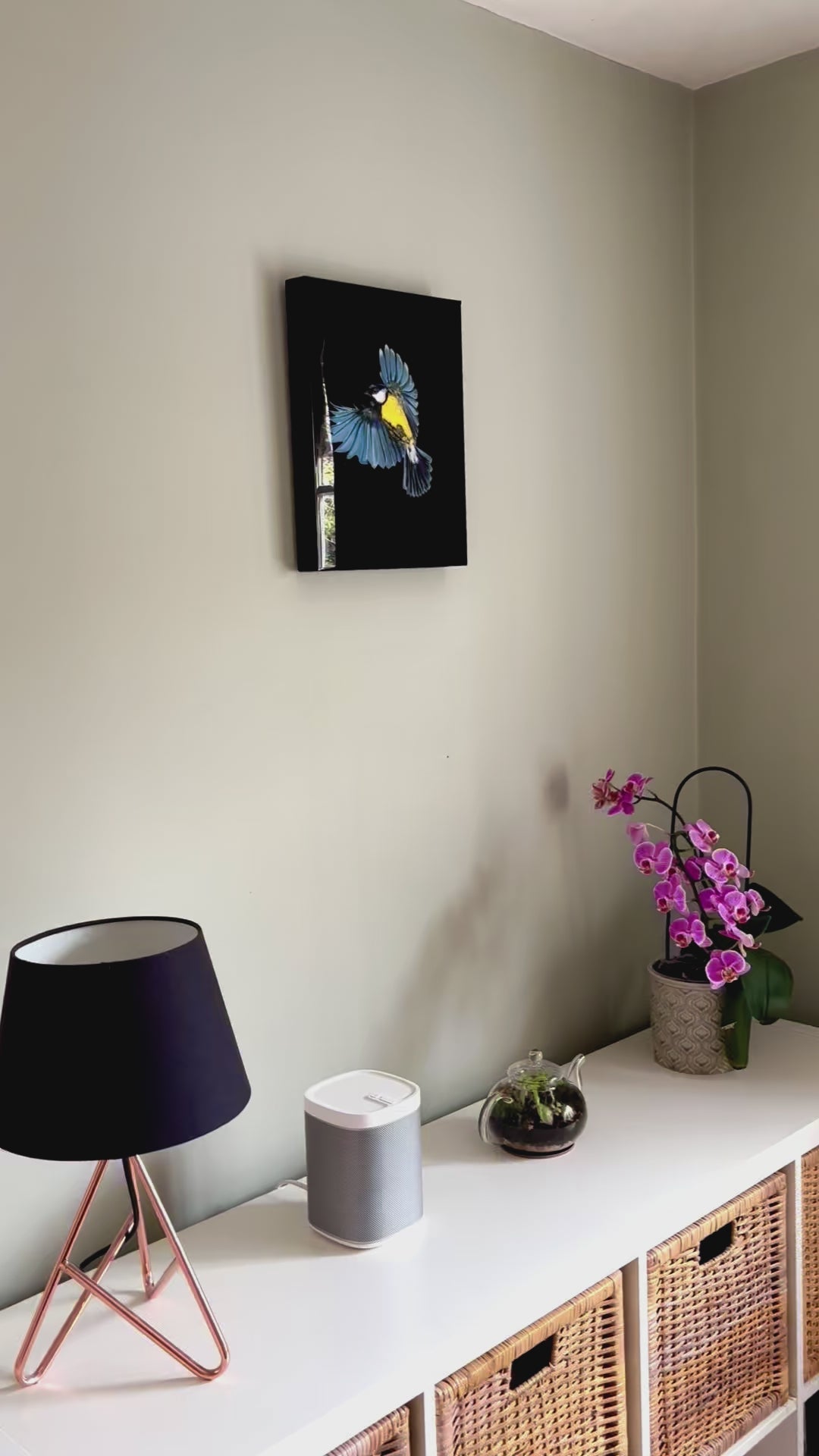 video of resin art of great tit, from different angles, demonstrating the shine