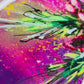 Close up video of the details