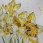 Spring Original