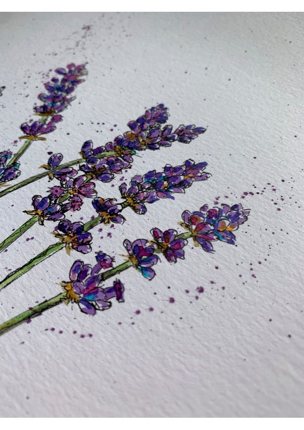 Framed Lavender Watercolour Original A4